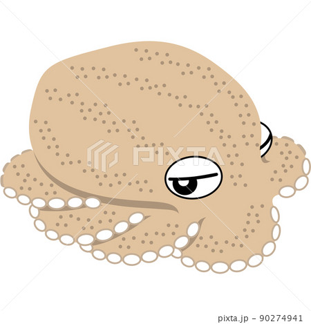 擬態しているタコのイラスト 擬態しているタコのイラスト 90274941