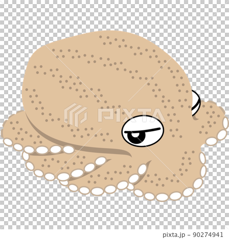 擬態しているタコのイラスト 擬態しているタコのイラスト 90274941