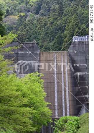 春の雀川砂防ダム(埼玉県ときがわ町) 春の雀川砂防ダム(埼玉県ときがわ町) 90275249