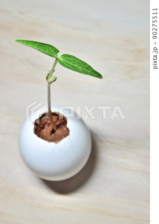 植物 工場 プランツ 90275511