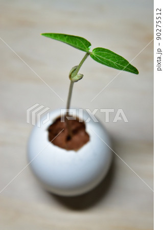 植物 工場 プランツ 90275512