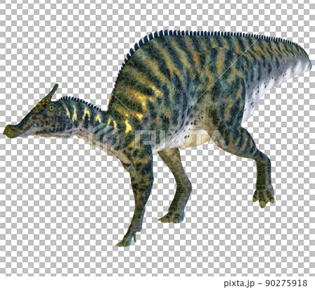 サウロロフス☆Saurolophus サウロロフス☆Saurolophus 90275918