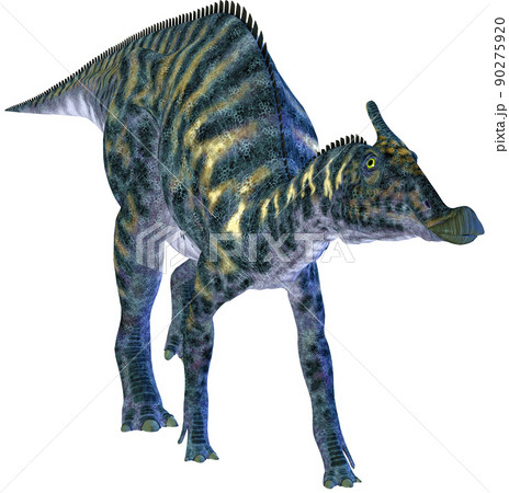 サウロロフス☆Saurolophus 90275920