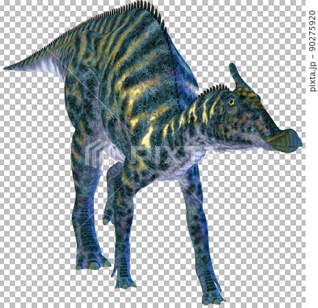 サウロロフス☆Saurolophus 90275920