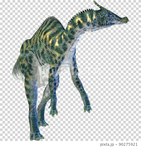 Saurolophus ☆ Saurolophus Saurolophus ☆ Saurolophus 90275921
