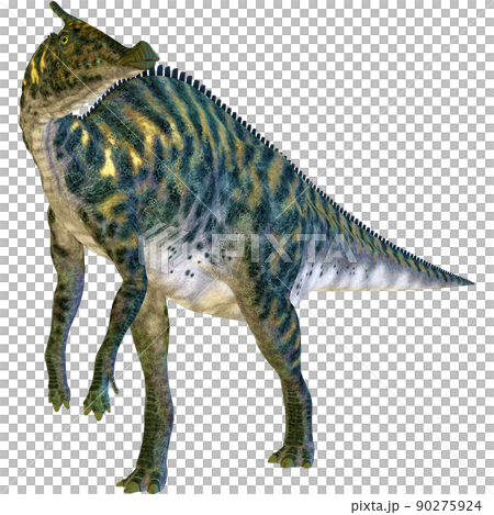 サウロロフス☆Saurolophus サウロロフス☆Saurolophus 90275924