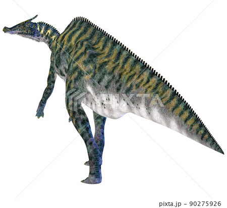 サウロロフス☆Saurolophus サウロロフス☆Saurolophus 90275926