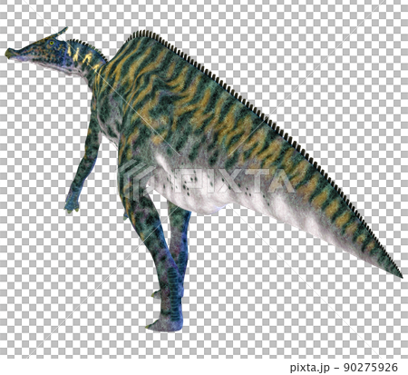 サウロロフス☆Saurolophus サウロロフス☆Saurolophus 90275926