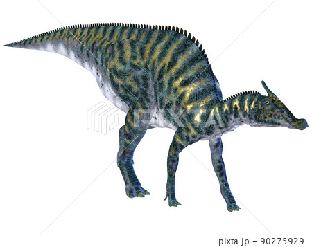 サウロロフス☆Saurolophus 90275929