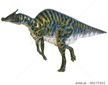 サウロロフス☆Saurolophus 90275932