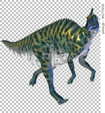 櫛龍 ☆ 櫛龍 90275938