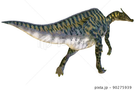 サウロロフス☆Saurolophus 90275939