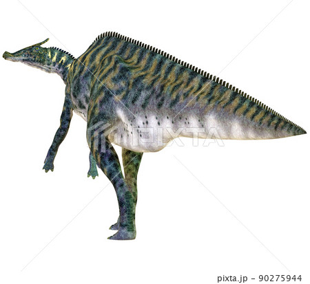 サウロロフス☆Saurolophus サウロロフス☆Saurolophus 90275944