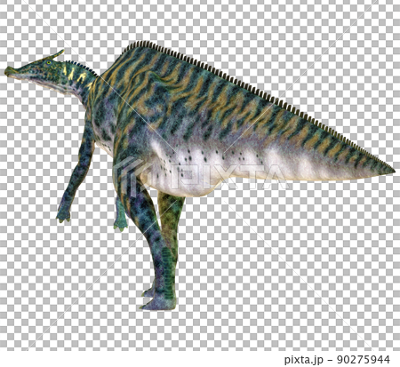 サウロロフス☆Saurolophus サウロロフス☆Saurolophus 90275944
