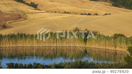 Typical Tuscan landscape near Montepulciano and Monticchielo, Italy 90276920