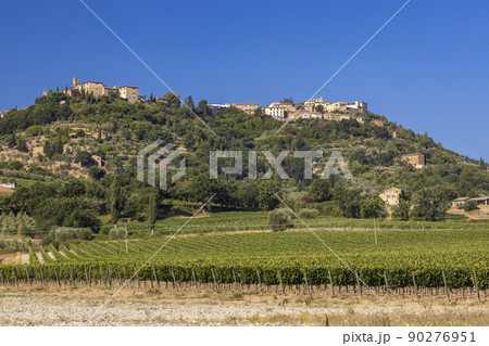 Tuscany's most famous vineyards near town Montalcino in Italy Tuscany's most famous vineyards near town Montalcino in Italy 90276951