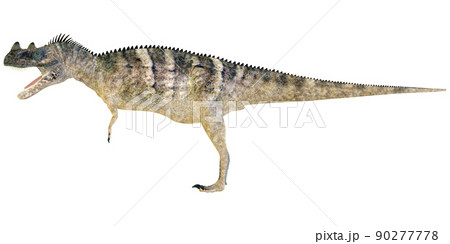 ケラトサウルス☆Ceratosaurus ケラトサウルス☆Ceratosaurus 90277778