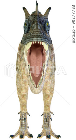 ケラトサウルス☆Ceratosaurus 90277783