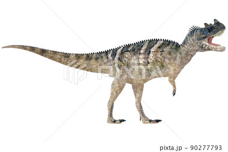 ケラトサウルス☆Ceratosaurus 90277793