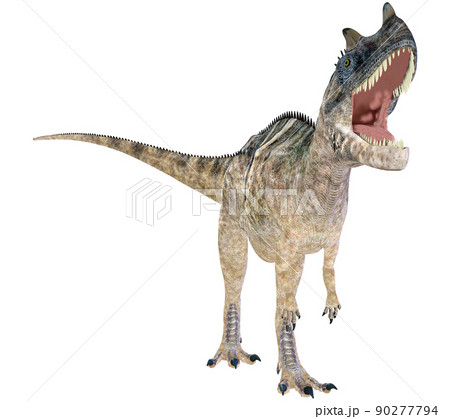 ケラトサウルス☆Ceratosaurus 90277794