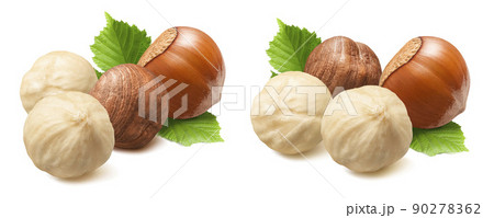 Double hazelnut set isolated on white background. Whole and peeled nuts with leaves. Double hazelnut set isolated on white background. Whole and peeled nuts with leaves. 90278362