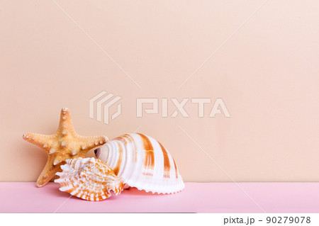 Beach seashells on colored background. Mock up with copy space 90279078