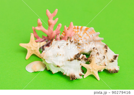 Beach seashells on colored background. Mock up with copy space Beach seashells on colored background. Mock up with copy space 90279416