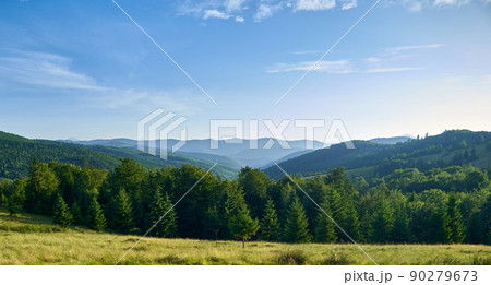 Forest landscape in mountains with meadow 90279673