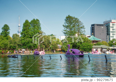 上野恩賜公園の不忍池に浮かぶスワンボートと東京スカイツリーが見える風景 90279675