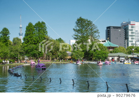 上野恩賜公園の不忍池に浮かぶスワンボートと東京スカイツリーが見える風景 上野恩賜公園の不忍池に浮かぶスワンボートと東京スカイツリーが見える風景 90279676