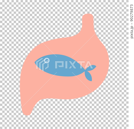 Stomach that ate fish 90279873