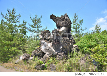 鹿児島桜島の狸岩 鹿児島桜島の狸岩 90279947