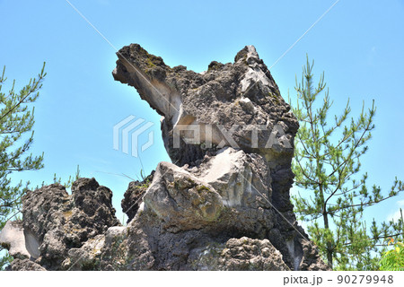 鹿児島桜島の狸岩 鹿児島桜島の狸岩 90279948