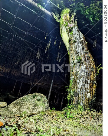 まがりくねる 90280004