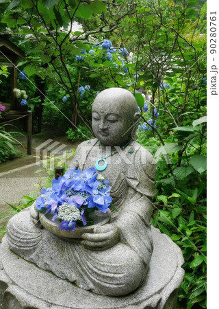 鎌倉 明月院の紫陽花 鎌倉 明月院の紫陽花 90280761
