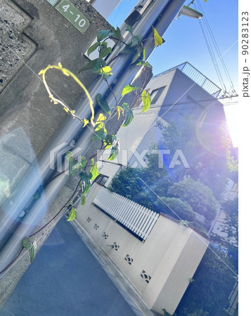 生命力 生命力 90283123