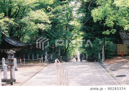 参道を歩く 参道を歩く 90283354