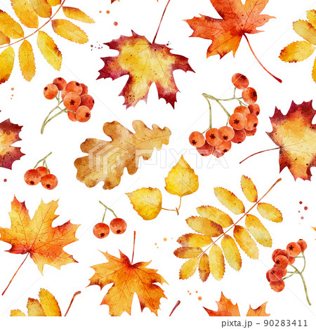 Watercolor seamless pattern with autumn leaves isolated on white background. 90283411