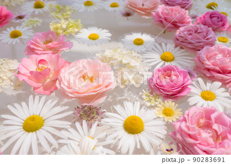 東山動植物園の温室前館に浮かぶ花、フローティングフラワー〈愛知県名古屋市〉 東山動植物園の温室前館に浮かぶ花、フローティングフラワー〈愛知県名古屋市〉 90283691