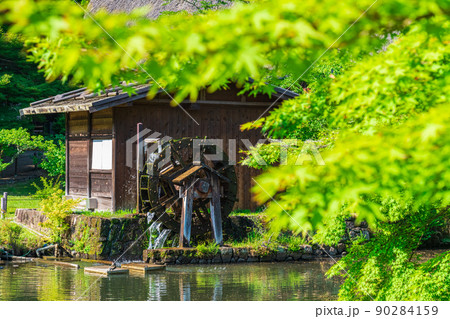 東山動植物園、緑あふれる風景〈愛知県名古屋市〉 90284159