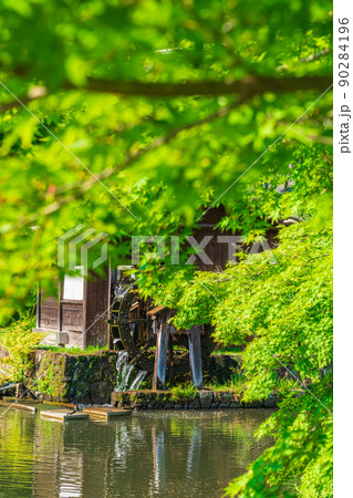東山動植物園、緑あふれる風景〈愛知県名古屋市〉 90284196