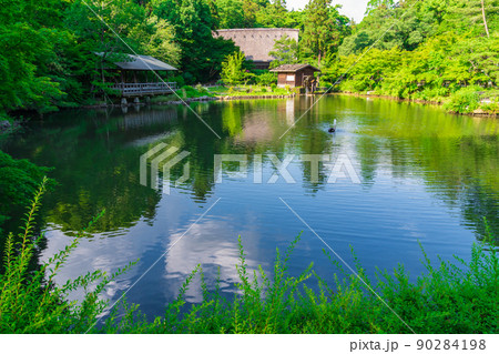 東山動植物園、緑あふれる風景〈愛知県名古屋市〉 90284198