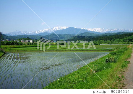西会津町・田園風景の向こうに残雪の飯豊連峰 90284514