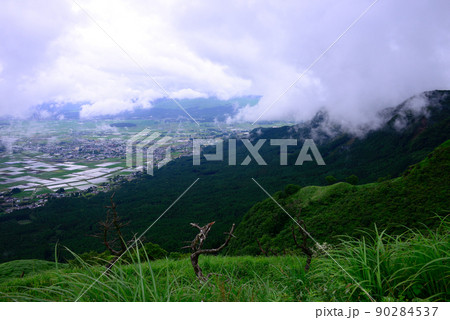 新緑と阿蘇外輪山の雲 新緑と阿蘇外輪山の雲 90284537