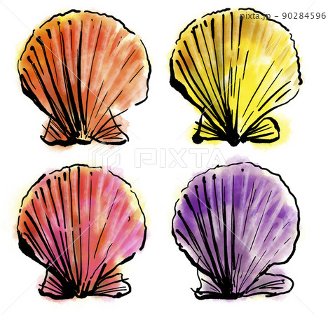 「ヒオウギガイ」の手書きイラスト（筆書き墨絵風） 90284596
