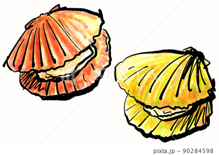 「ヒオウギガイ」の手書きイラスト（筆書き墨絵風） 90284598
