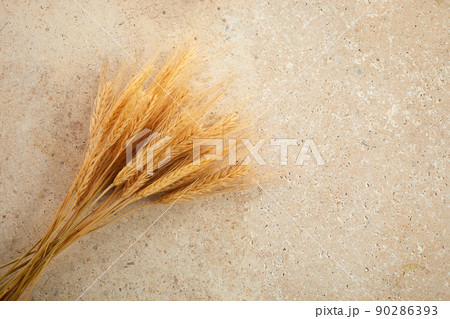 Happy Shavuot. Shavuot Jewish holiday and wheat. 90286393