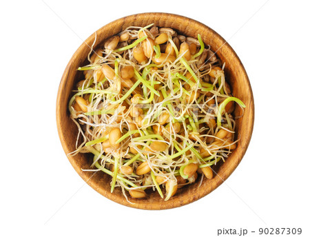 Whole wheat sprouts, germinated wheat seeds in wooden bowl isolated on white background. Directly above. 90287309