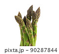 Vegetarian fresh green asparagus. vegetable isolated on white. 90287844
