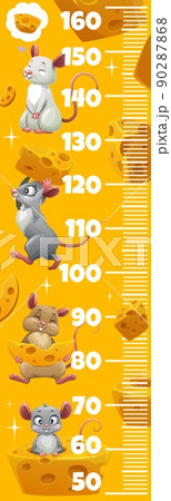 Kids height chart with cute cartoon mouses, rats and cheese. Vector growth meter with funny mice characters. Wall sticker for children height measurement with scale and rodent personages Kids height chart with cute cartoon mouses, rats and cheese. Vector growth meter with funny mice characters. Wall sticker for children height measurement with scale and rodent personages 90287868